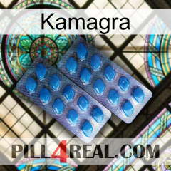 Kamagra viagra2